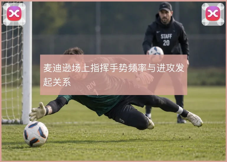 麦迪逊场上指挥手势频率与进攻发起关系