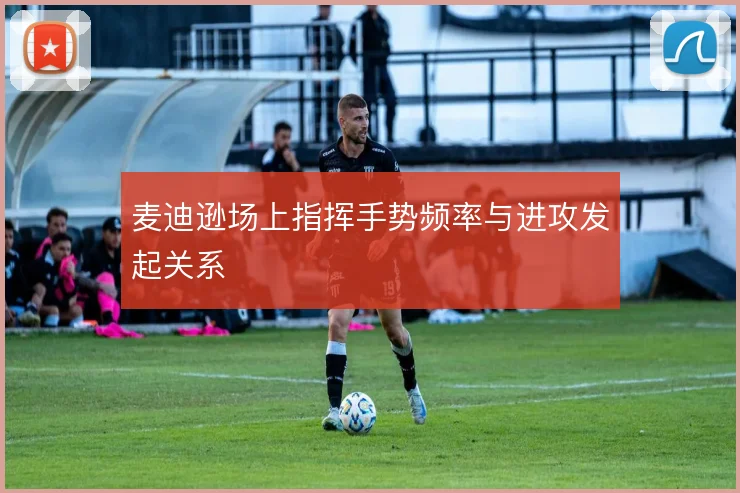 麦迪逊场上指挥手势频率与进攻发起关系